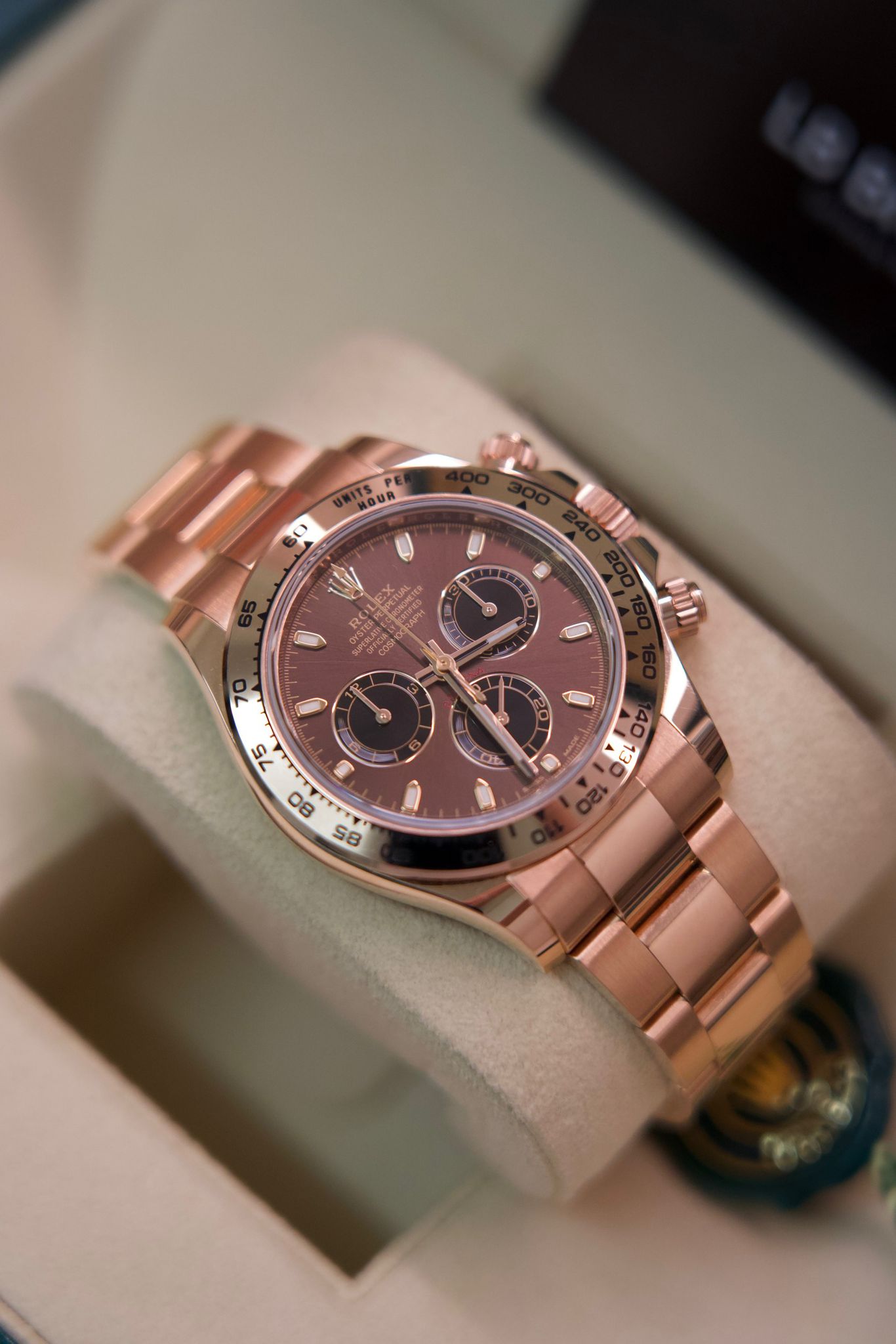 Rolex Cosmograph Daytona Rose Gold Chocolate Dial 116505